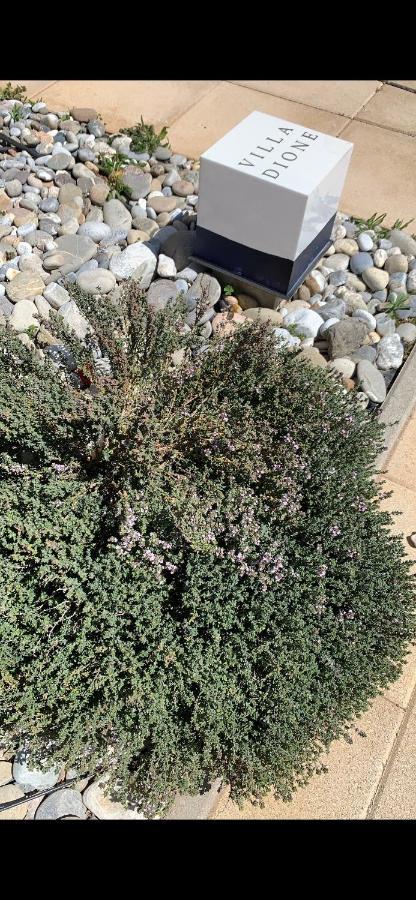 Dione Villa Kokkinos Pirgos Exteriér fotografie